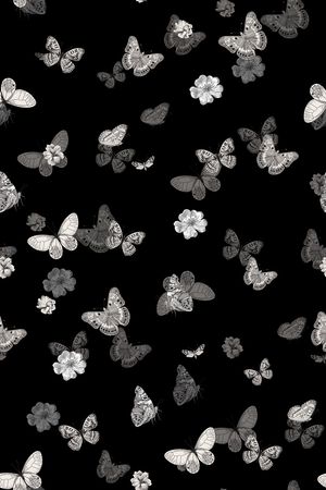 蝴蝶印花华亿平台图片