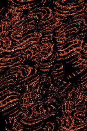 复古印花华亿平台图片