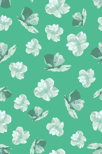 1556984-花卉22036-3