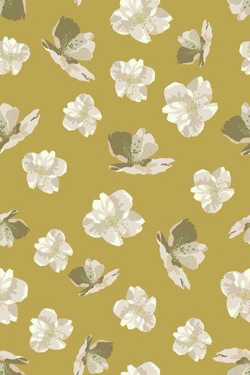 1556985-花卉22036-4