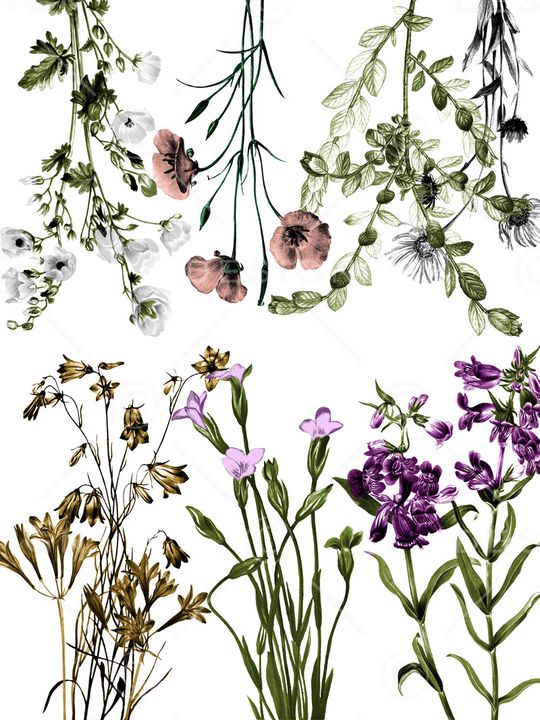 定位印花华亿平台图片