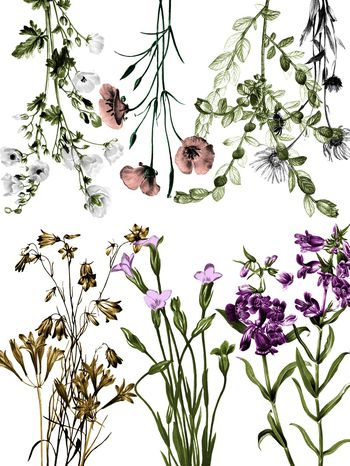 定位印花华亿平台图片