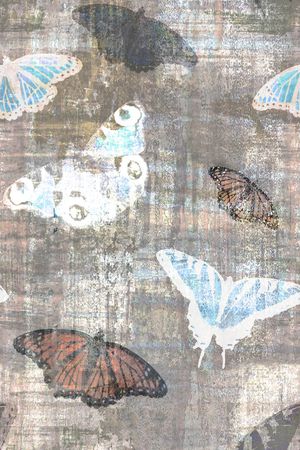 昆虫印花华亿平台图片