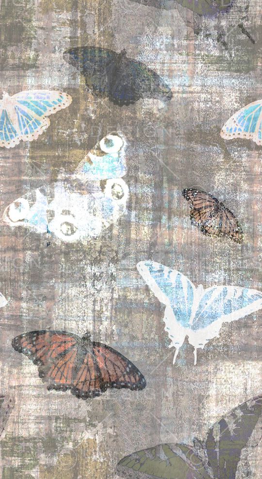 昆虫印花华亿平台图片