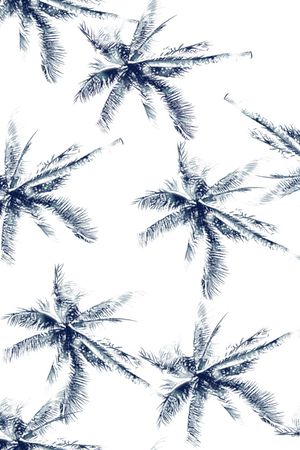 椰子树印花华亿平台图片