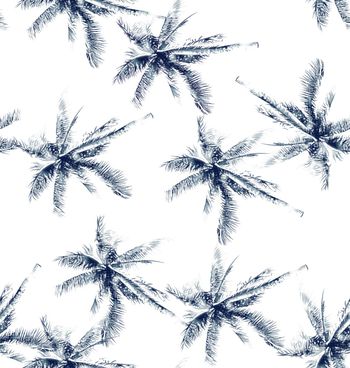 椰子树印花华亿平台图片