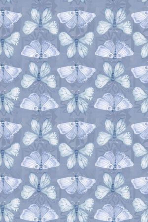 飞蛾印花华亿平台图片