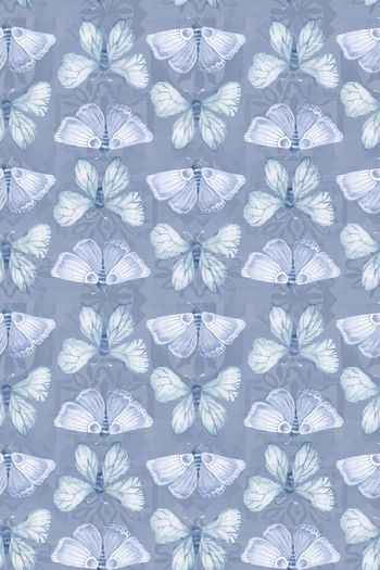 飞蛾印花华亿平台图片