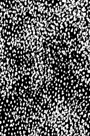 黑白印花华亿平台图片