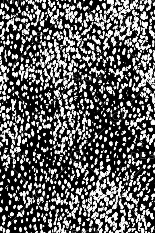 黑白印花华亿平台图片