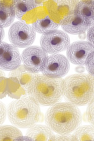 混合拼接印花华亿平台图片