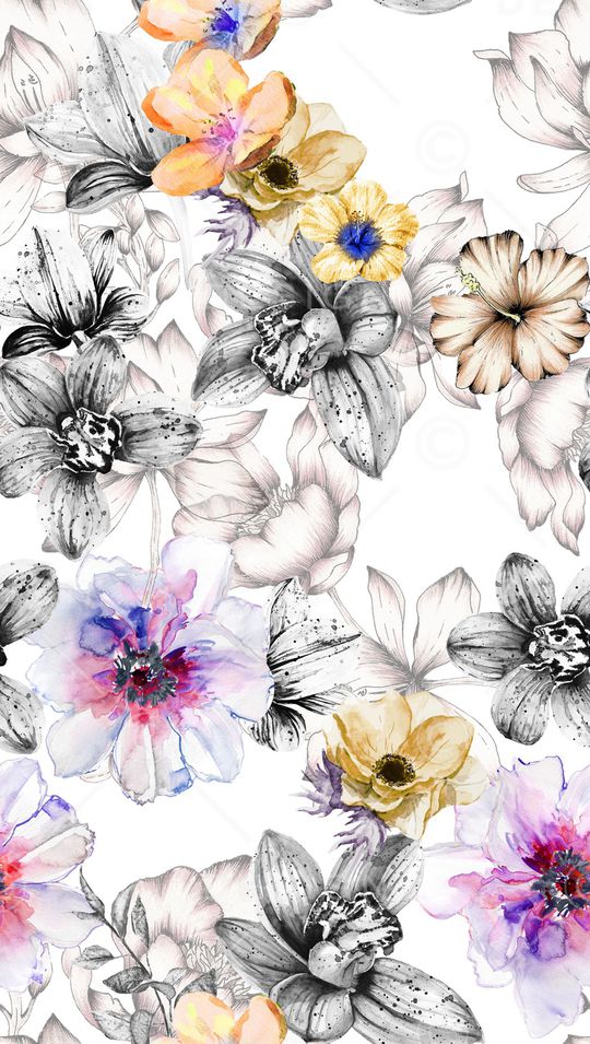 白底花印花华亿平台图片