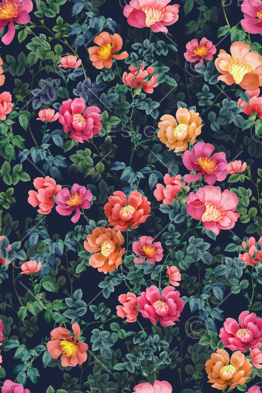 植物印花华亿平台图片