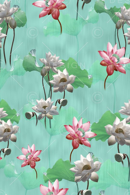 荷花印花华亿平台图片