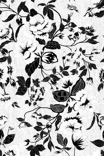 年轻女性印花华亿平台图片