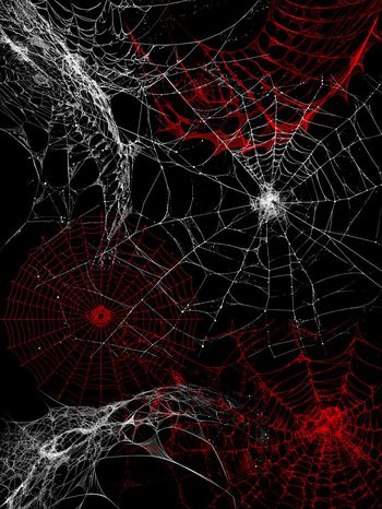 简约印花华亿平台图片