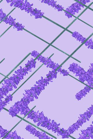 格子印花华亿平台图片