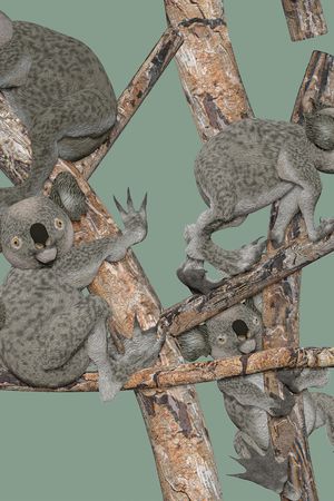 动物印花华亿平台图片