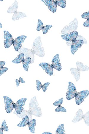 蝴蝶印花华亿平台图片