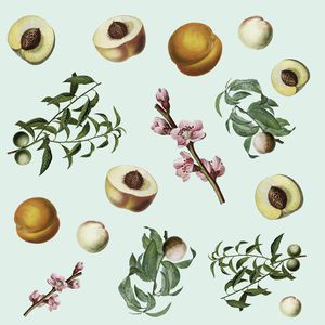 水果印花华亿平台图片