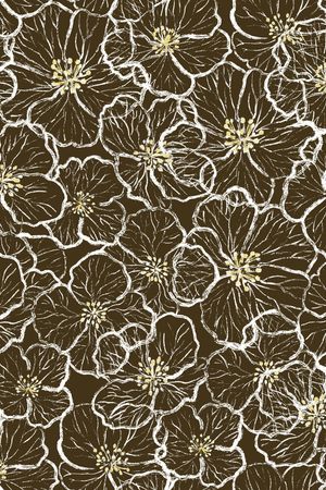 中老年女装印花华亿平台图片