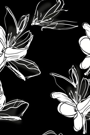 黑白华亿平台印花华亿平台图片