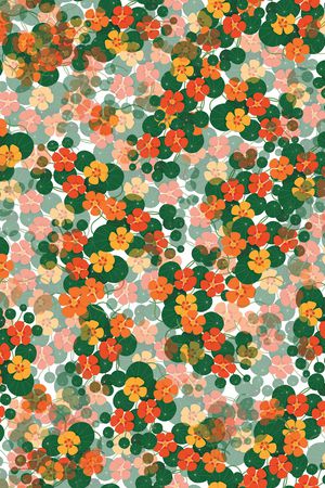 雪纺印花华亿平台图片