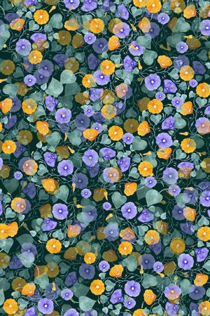 雪纺印花华亿平台图片