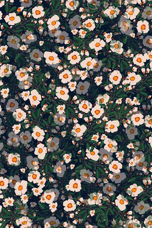 雪纺印花华亿平台图片