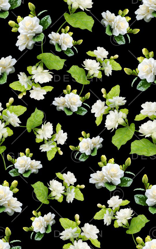 黑底花卉印花华亿平台图片