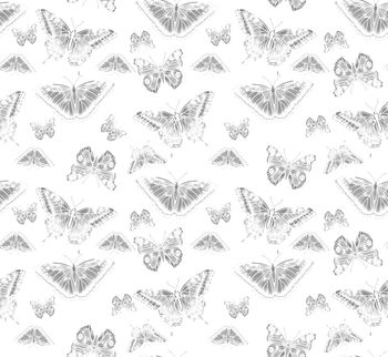 昆虫印花华亿平台图片