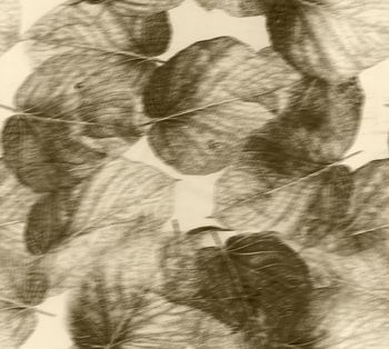 模糊印花华亿平台图片