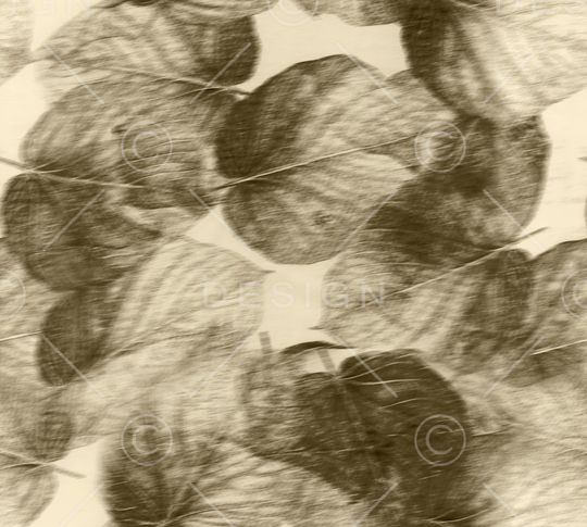 模糊印花华亿平台图片