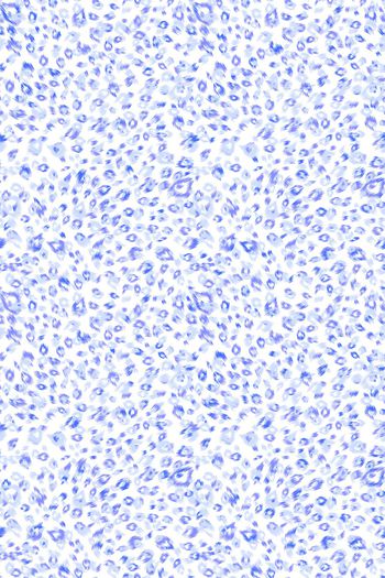 动物纹印花华亿平台图片