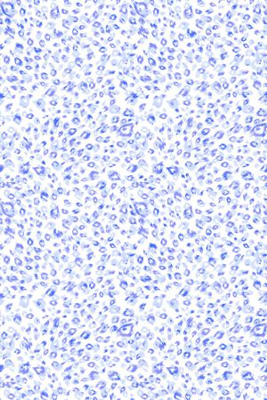 动物纹印花华亿平台图片