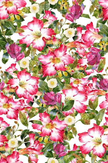 植物印花华亿平台图片