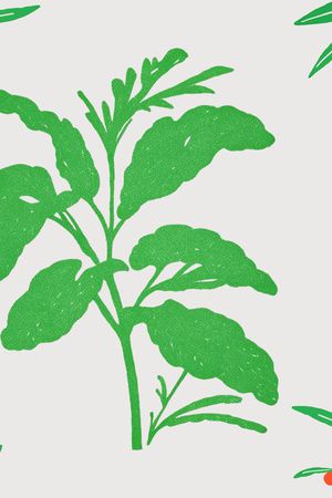 植物印花华亿平台图片