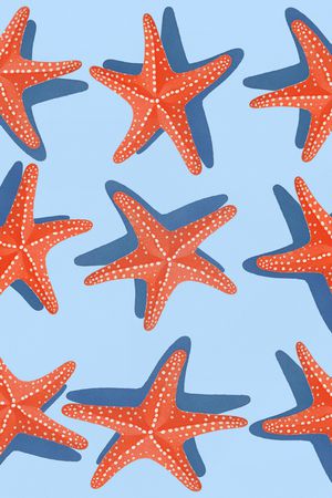 趣味印花华亿平台图片