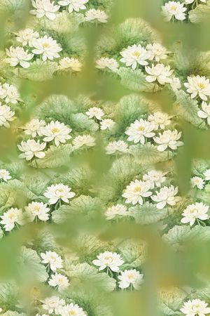 荷花印花华亿平台图片