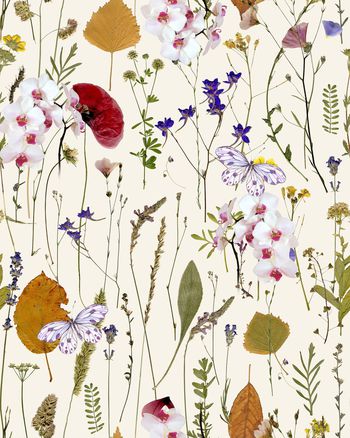 1576689-2024-7-23（叶子满地玉兰