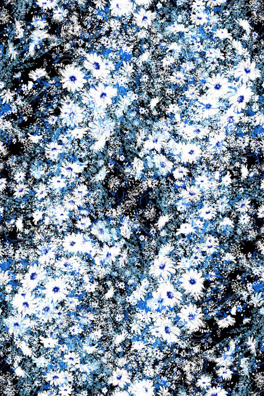 黑底花卉印花华亿平台图片