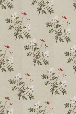 植物印花华亿平台图片