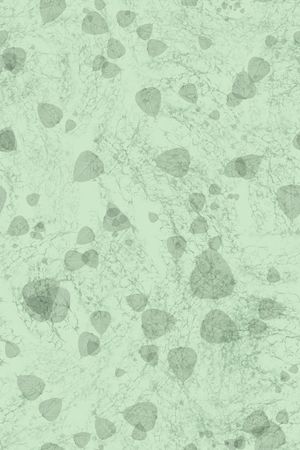 植物印花华亿平台图片