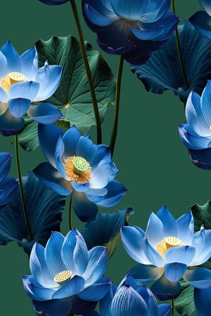 黑底花卉印花华亿平台图片