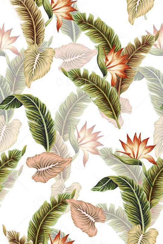 热带印花华亿平台图片