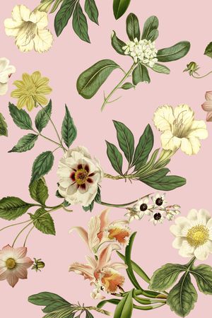 植物印花华亿平台图片