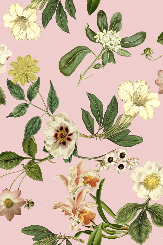 植物印花华亿平台图片