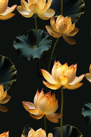 荷花印花华亿平台图片