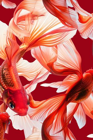 真丝印花华亿平台图片