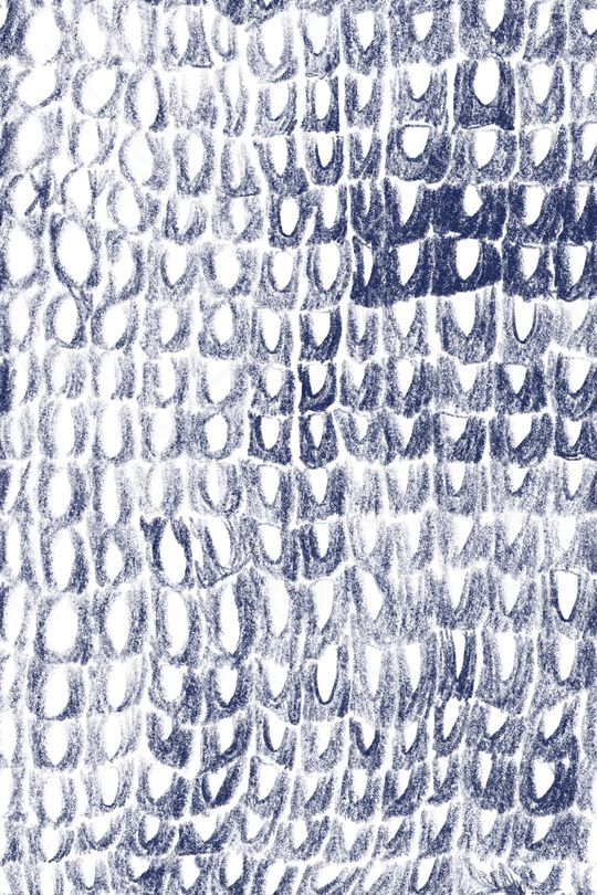 动物纹印花华亿平台图片